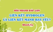 LIên kết hydrogen được hình thành như thế nào? Liên kết hydrogen là liên kết mạnh hay yếu? - Hỏi đáp Hoá 10